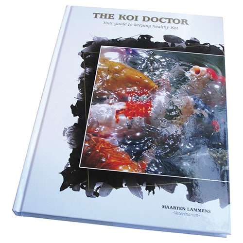 The-Koi-Doctor