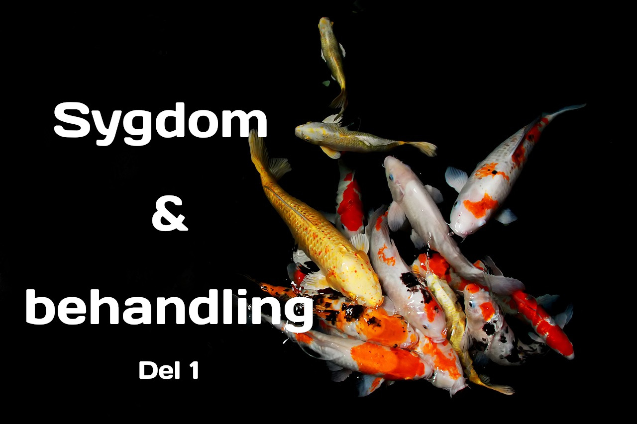 sygdom og behandling